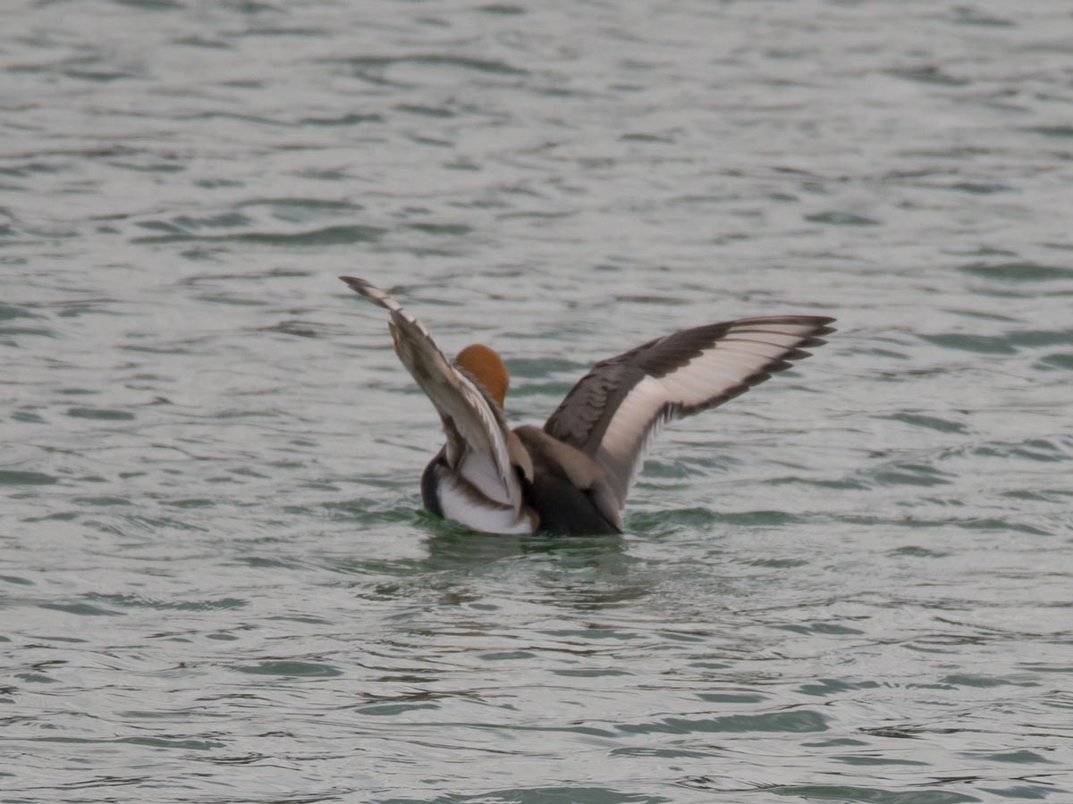 vor dem Abflug
